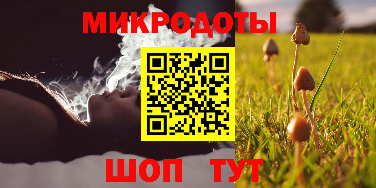 Псилоцибиновые грибы Psilocybine cubensis Тимашёвск