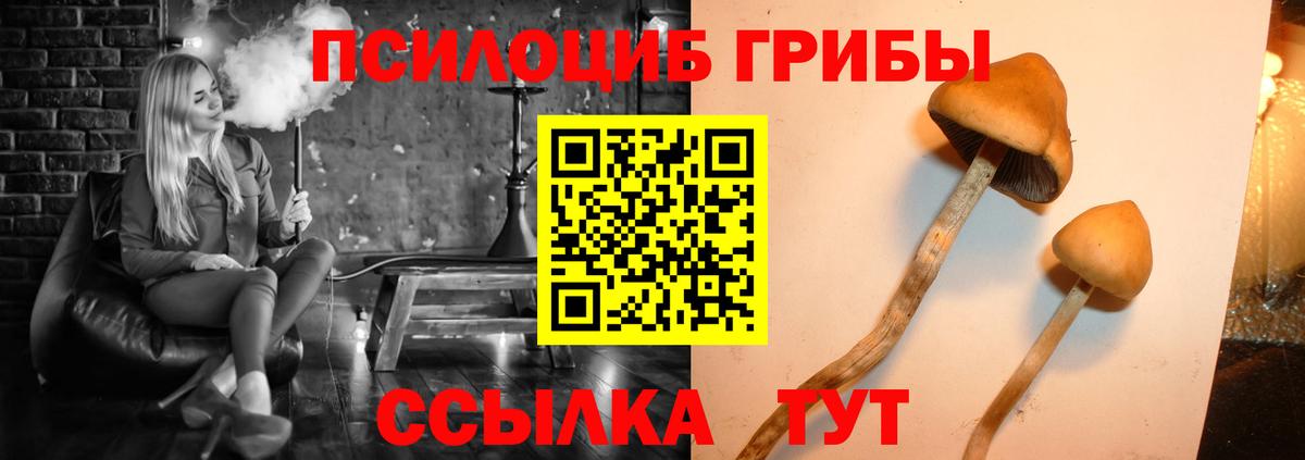 Тимашёвск  Галлюциногенные грибы GOLDEN TEACHER  где найти   Вход с VPN 